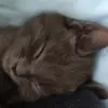 Collin Jackson - @collin.jackson38 - TikTok