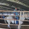 Collin B Johnson - @collinjohnson032 - TikTok