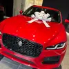 joycecollins822 - @joycecollins822 - TikTok