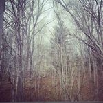 Collin Lee Abney - @collinabney - Instagram