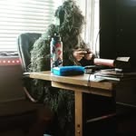 Collin Marshall - @collinpuns - Instagram