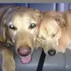 collinmarshall51 - @collin.marshall5 - TikTok