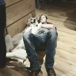 Collin McCabe - @collinmccabe - Instagram