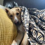 Collin McCarthy - @collinmccarthy_ - Instagram