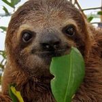 Collin McKay - @_.slothlover._ - Instagram