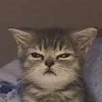 Collin Montgomery - @spacegamer04 - Instagram