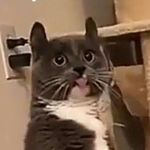 онэмэщник._. - @_collin_moon_ - Instagram