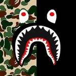 Collin Phillips - @collin_phillips2025 - Instagram