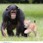 Collin Porter - @i_am_beast456 - Instagram