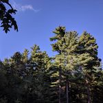 Collin Powers - @collin_powers129 - Instagram
