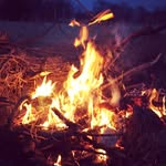 Collin Riley - @campfire_casual_wear - Instagram