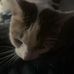 Collin Roberts - Facebook