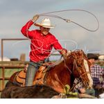 Collin Snyder - @collin_snyder9 - Instagram