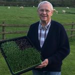 Colin Spain - @the_microgreen_farmer - Instagram