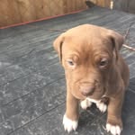 Collin Stephens - @12collstep - Instagram