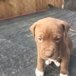 Collin Stephens - @collstep12 - Instagram