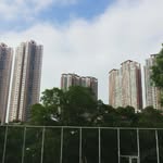 Collin Tang YY - @collintangyy - Instagram