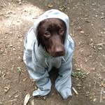Colin Townsend - @colin.joe.townsend - Instagram