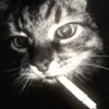 collintownsend - @collin.townsend2 - TikTok