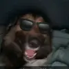 Collin Tripp489 - @skimaskthedadbod1 - TikTok