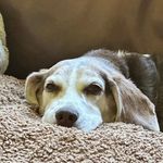 Collin Tuttle - @spogettq - Instagram