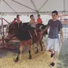Collin Tuttle - @collintuttle - TikTok