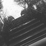 Collintuttle7 - @collintuttle7 - Instagram
