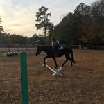 Collin,Tyler,NateTheGreat - @northcaroliniancountryboys - Instagram