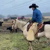 Tyson Collins - @tysoncollin77 - TikTok