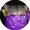 collinwalther - @collinwalther - TikTok