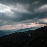 Collin Wang - @collin_wang2014 - Instagram