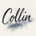 Collin Wang - @collindid - Instagram