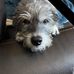 Collin Wang - Facebook