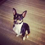 Collin Warner - @theater.kid.of.the.century - Instagram