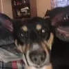Collin Warner - @colliniscool77 - TikTok