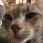 Collin Warner - @collinwarner1 - Instagram