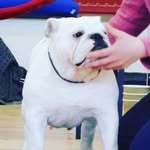 Colin Waters - @colin.waters.7 - Instagram