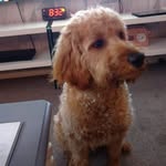 Colin Waters - @colin.waters.988 - Instagram