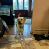 collin waters - @collin.waters5 - TikTok