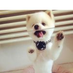 Collin Webster - @collin.webster.735 - Instagram