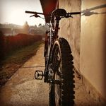 Colin Weiss - @colinweiss85 - Instagram