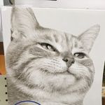 Collin Weiss - @weisscollin - Instagram