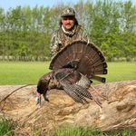 Collin Wells - @collinwells1916 - Instagram
