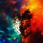 Collin Werner - @collinwerner13 - Instagram