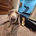 Collin Wesley - @collinwesley11 - Instagram