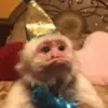 Collin Westbrook - @collin.westbrook - TikTok