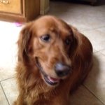 Collin - @collinwheeler - Instagram