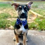 Collin Wilcox - @collinwilcox3 - Instagram