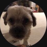 Colin Wilkins - @colinwilk.4 - Instagram