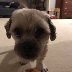 Colin Wilkins - @colinwilk4 - Instagram